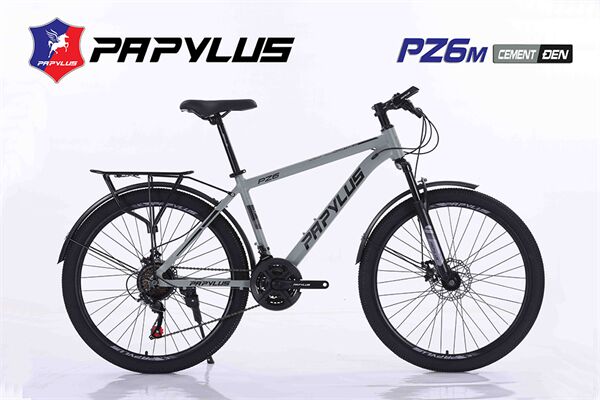 Xe đạp địa hình thể thao Papylus PZ6 New